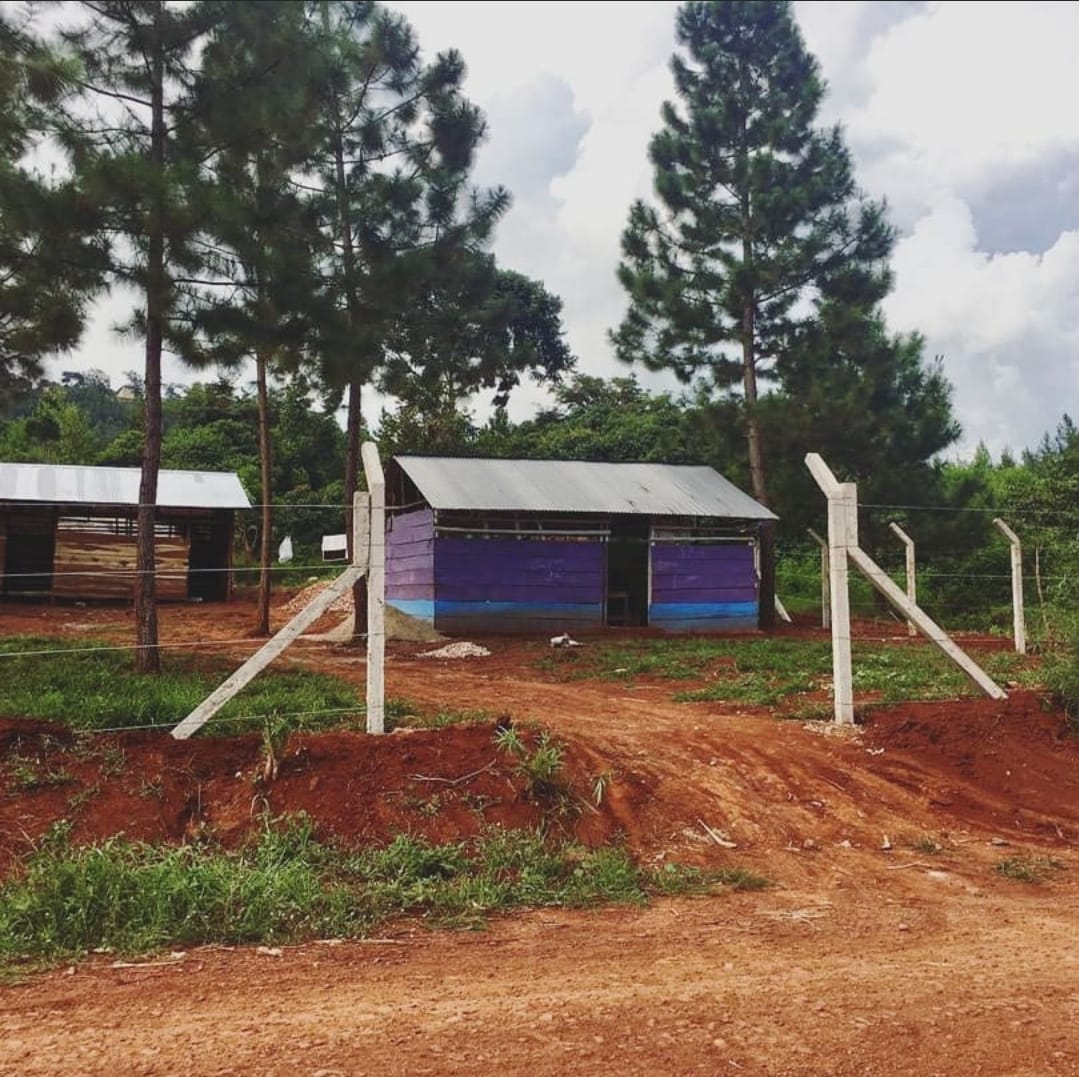 Hearts of Gold School construction phase 5